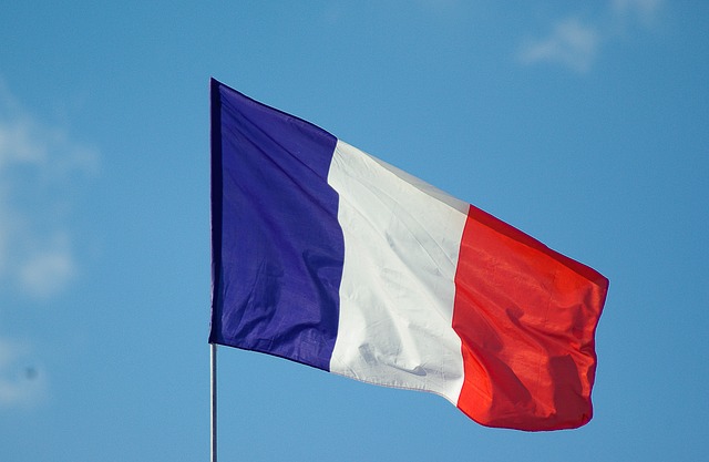 French flag.