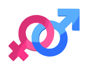 Blue masculine sign and pink feminine sign.